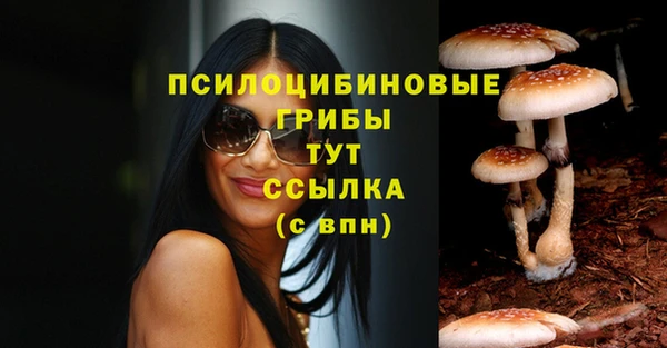 соль ск Абаза